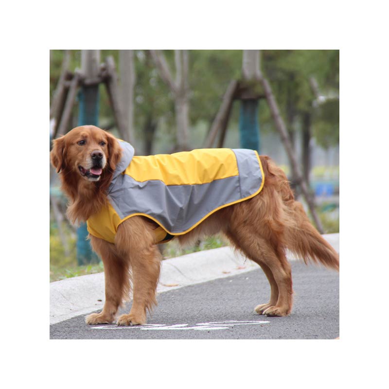 Dog Raincoat