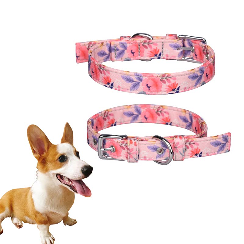 Bohemian Dog Collars