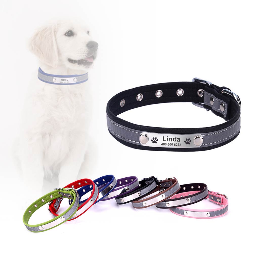 Personalized Engraved Dog Collar