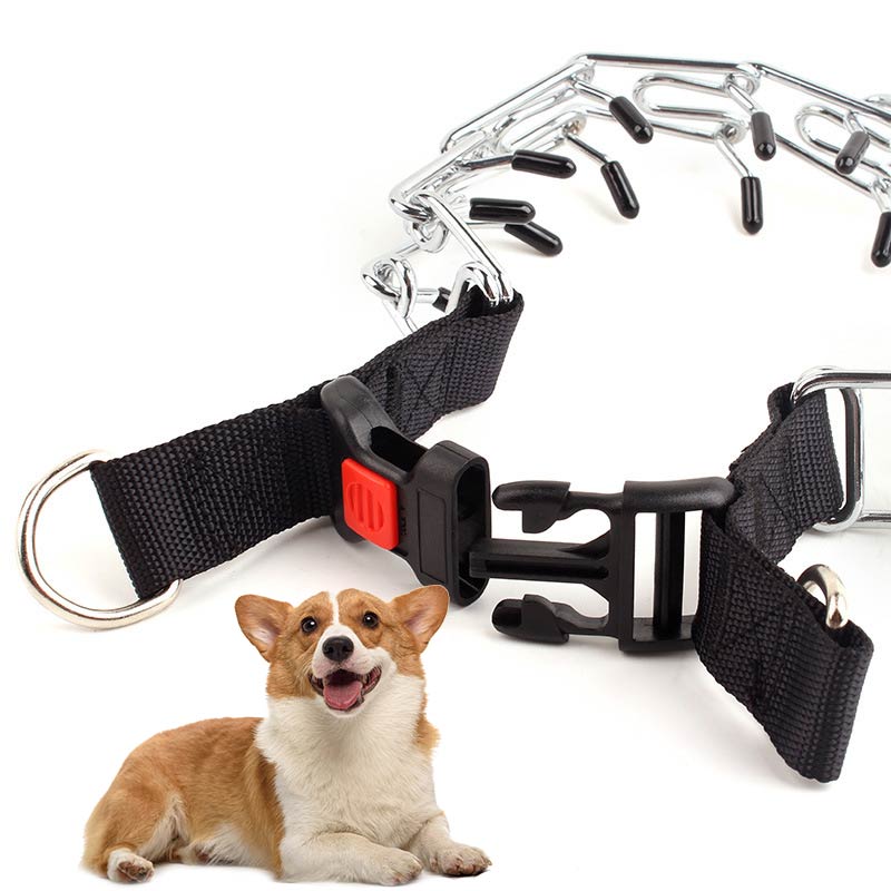 Quick-released Buckle Dog Chain Collar