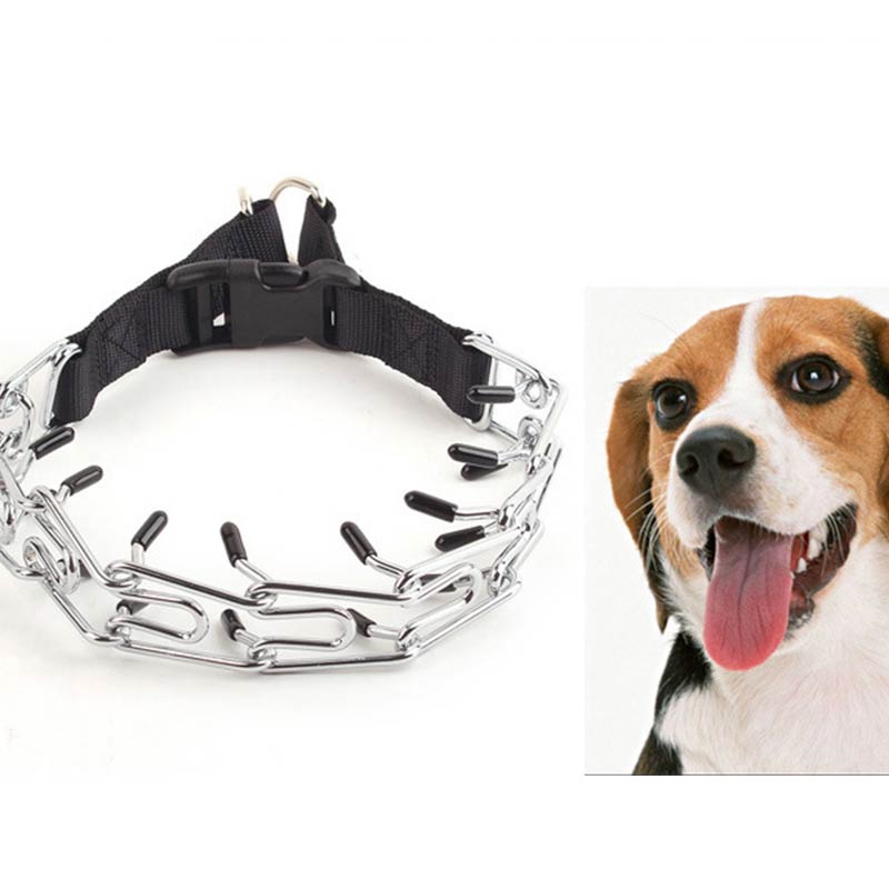 Quick-released Buckle Dog Chain Collar
