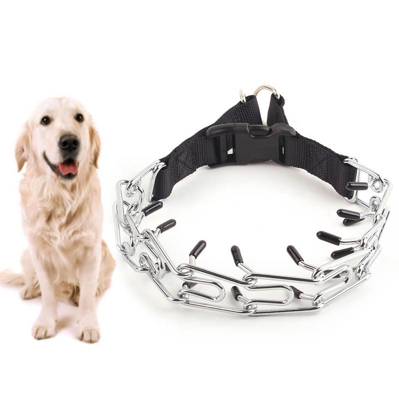 Quick-released Buckle Dog Chain Collar