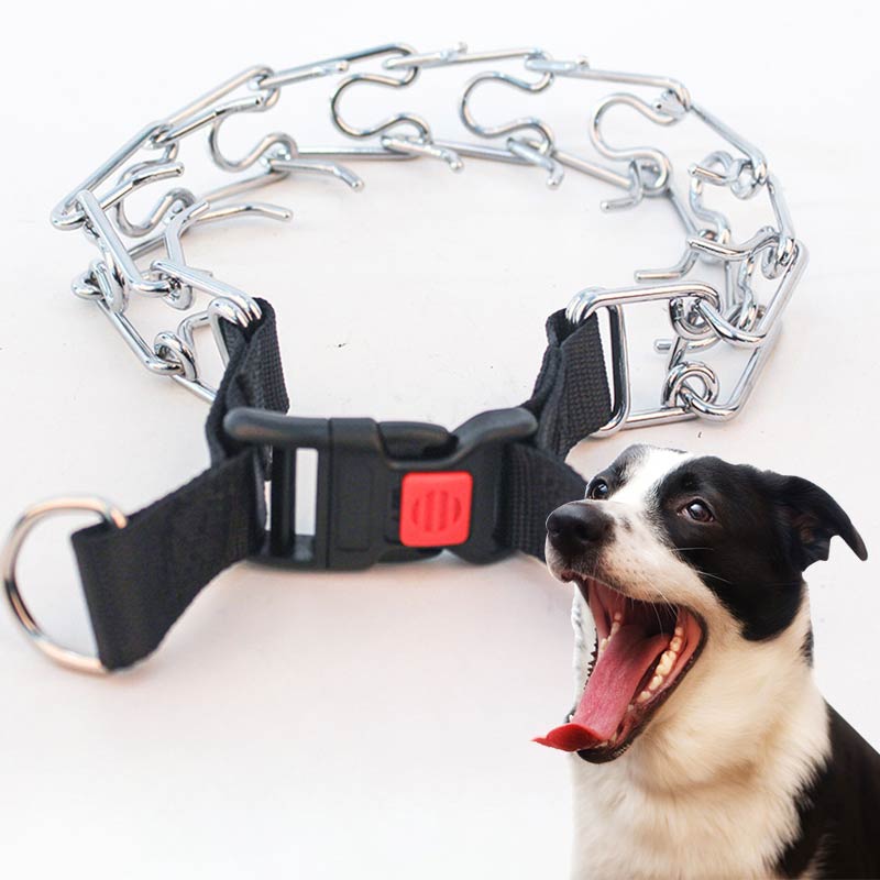 Quick-released Buckle Dog Chain Collar