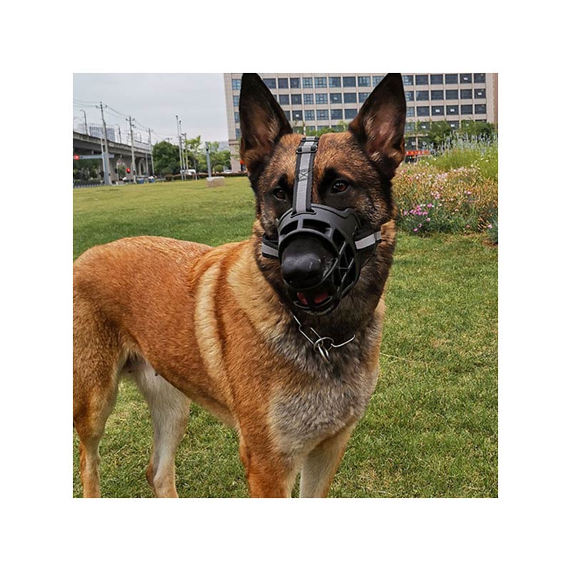 Dog Safe Muzzle with Adjustable Straps