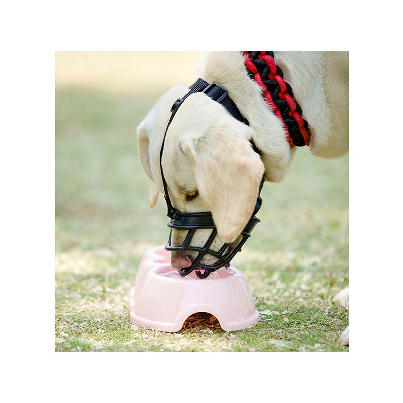Dog Safe Muzzle with Adjustable Straps
