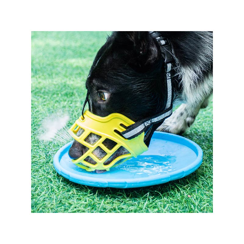 Dog Safe Muzzle with Adjustable Straps