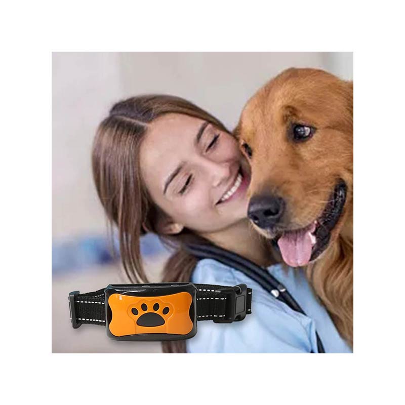 Anti Bark Dog Collar