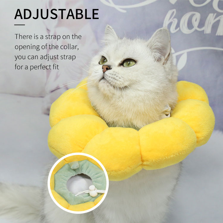 Pet Elizabeth Collar Circle