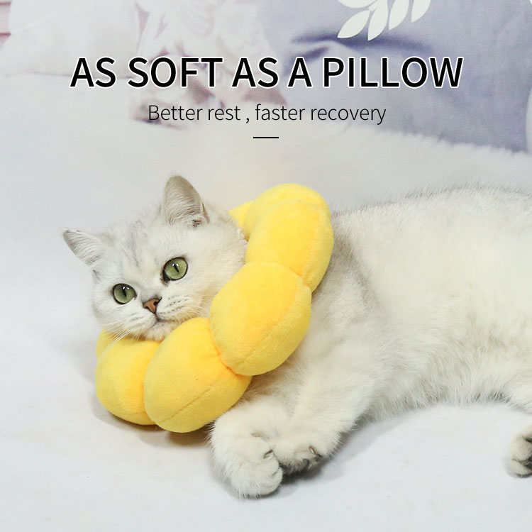 Pet Elizabeth Collar Circle