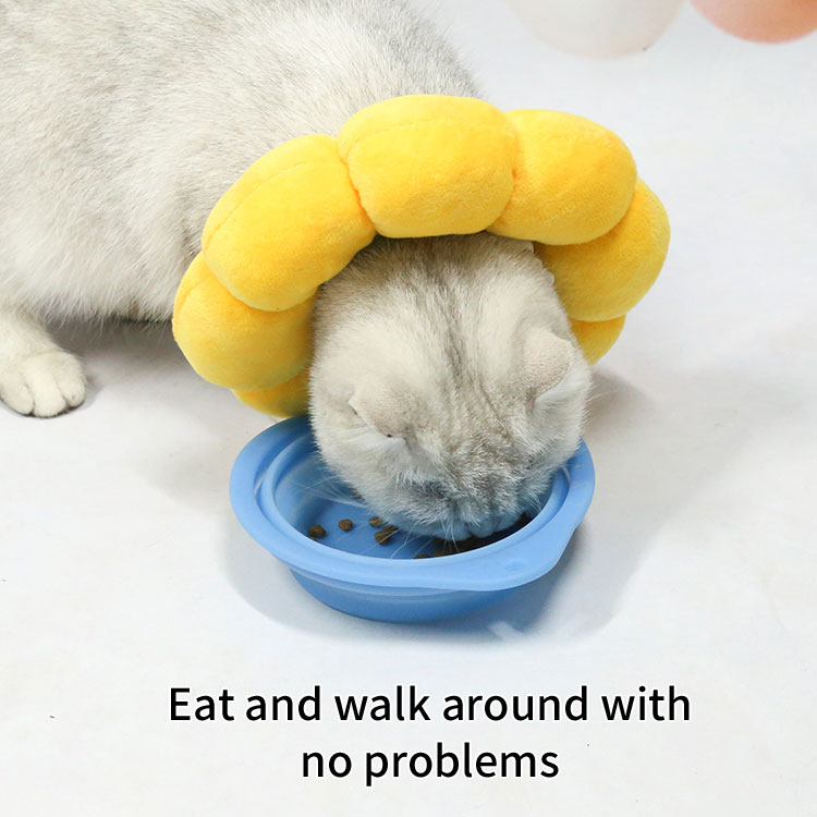 Pet Elizabeth Collar Circle