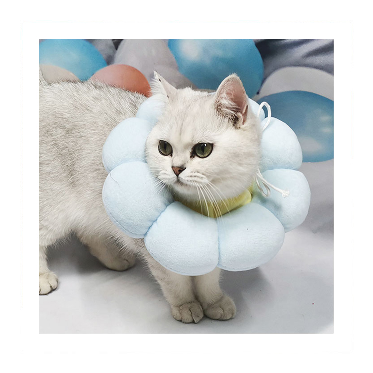 Pet Elizabeth Collar Circle