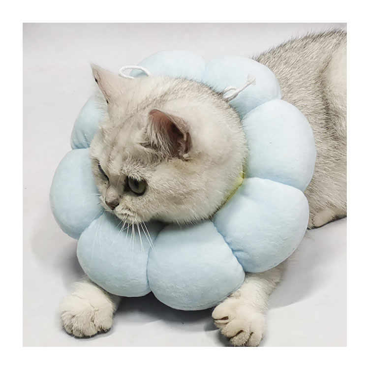 Pet Elizabeth Collar Circle