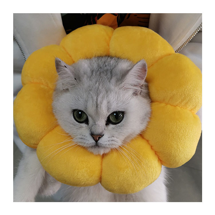 Pet Elizabeth Collar Circle