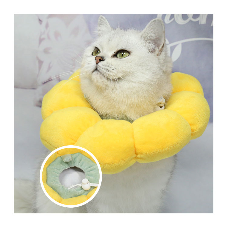 Pet Elizabeth Collar Circle