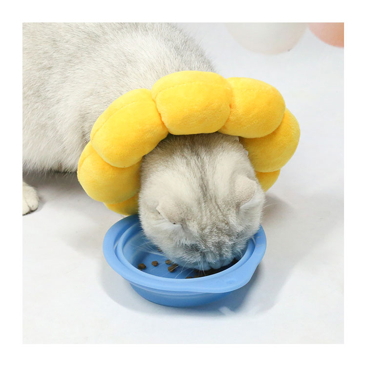 Pet Elizabeth Collar Circle