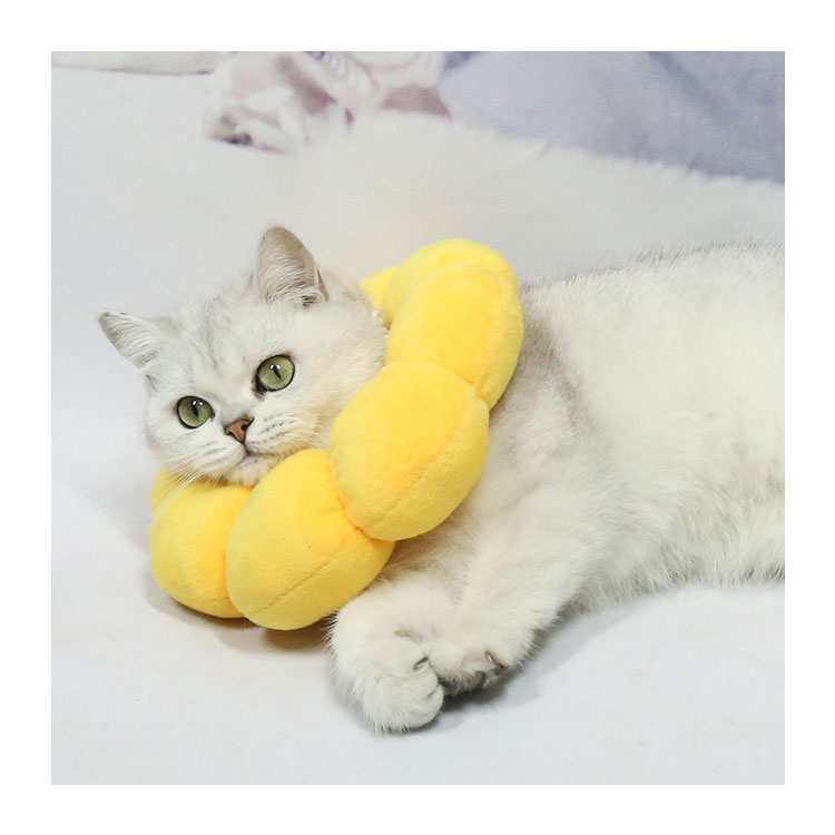 Pet Elizabeth Collar Circle