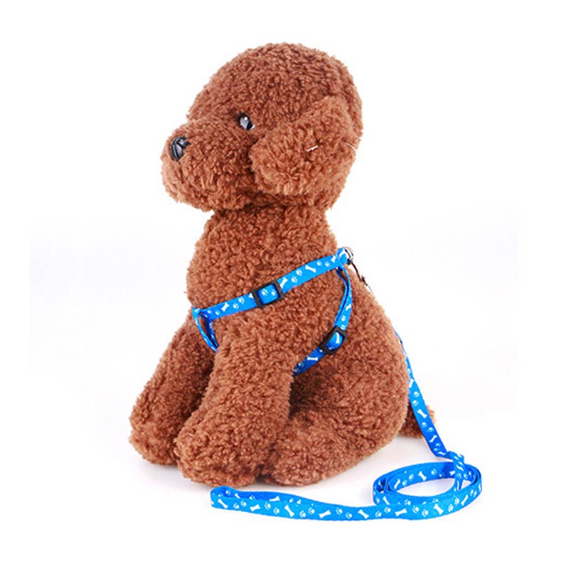 Polyester Printing Pet Harness And Leash
