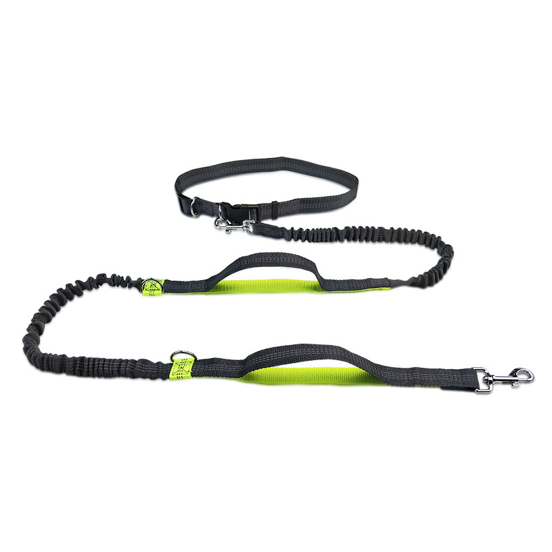 Hands Free Dog Leash