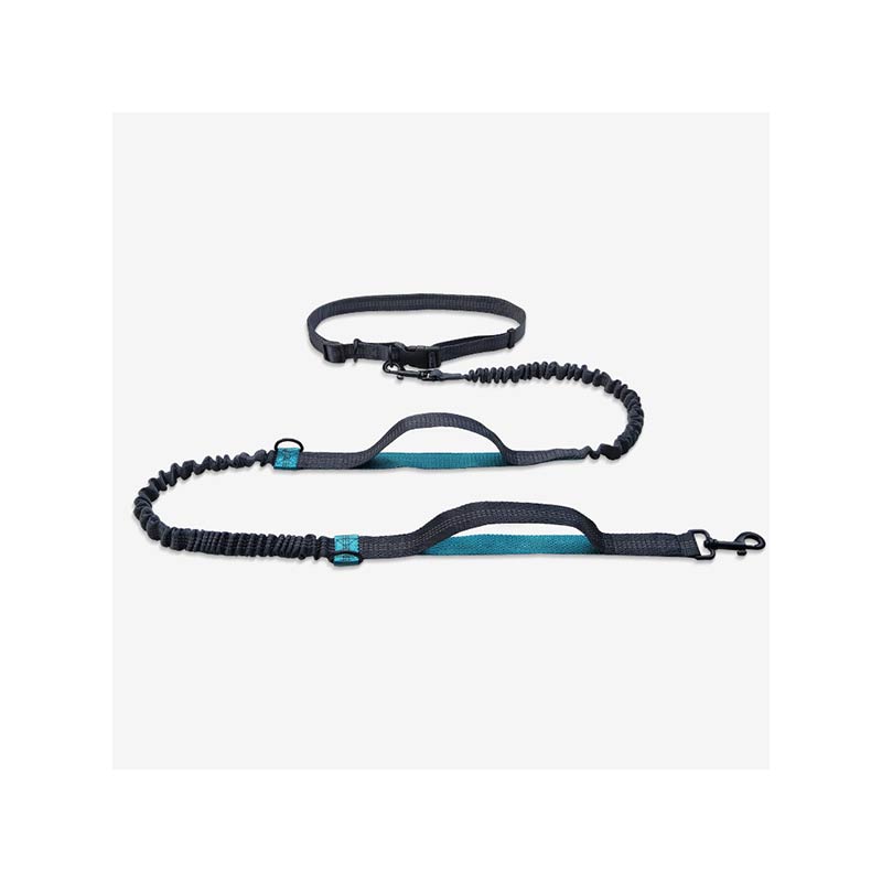 Hands Free Dog Leash
