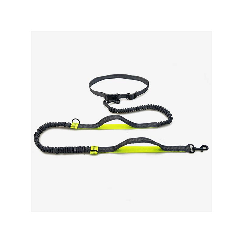 Hands Free Dog Leash