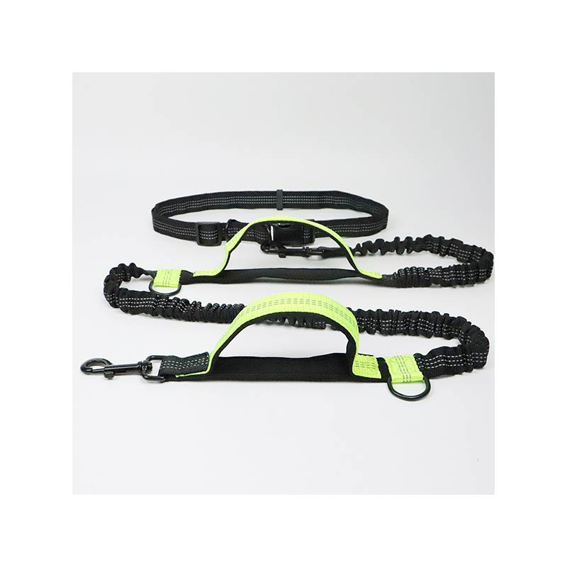 Hands Free Dog Leash