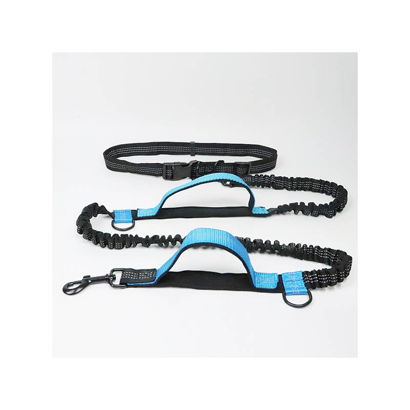 Hands Free Dog Leash
