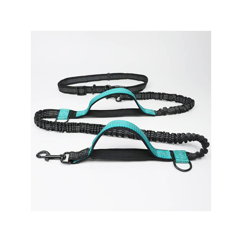 Hands Free Dog Leash
