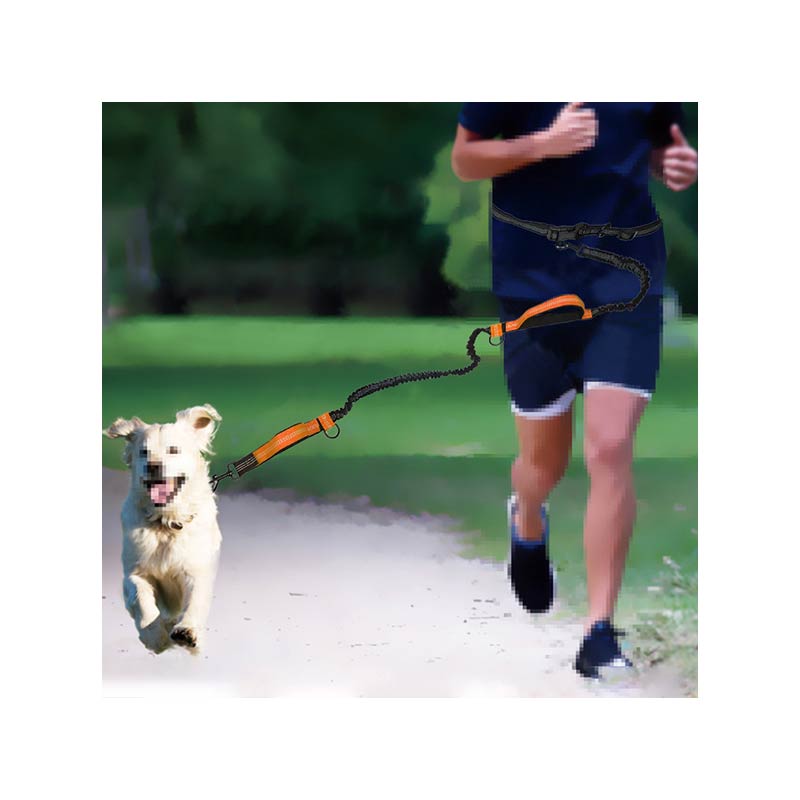Hands Free Dog Leash