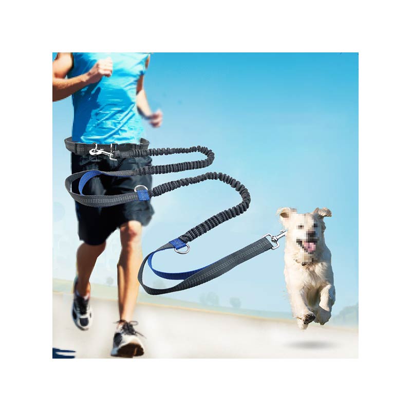 Hands Free Dog Leash