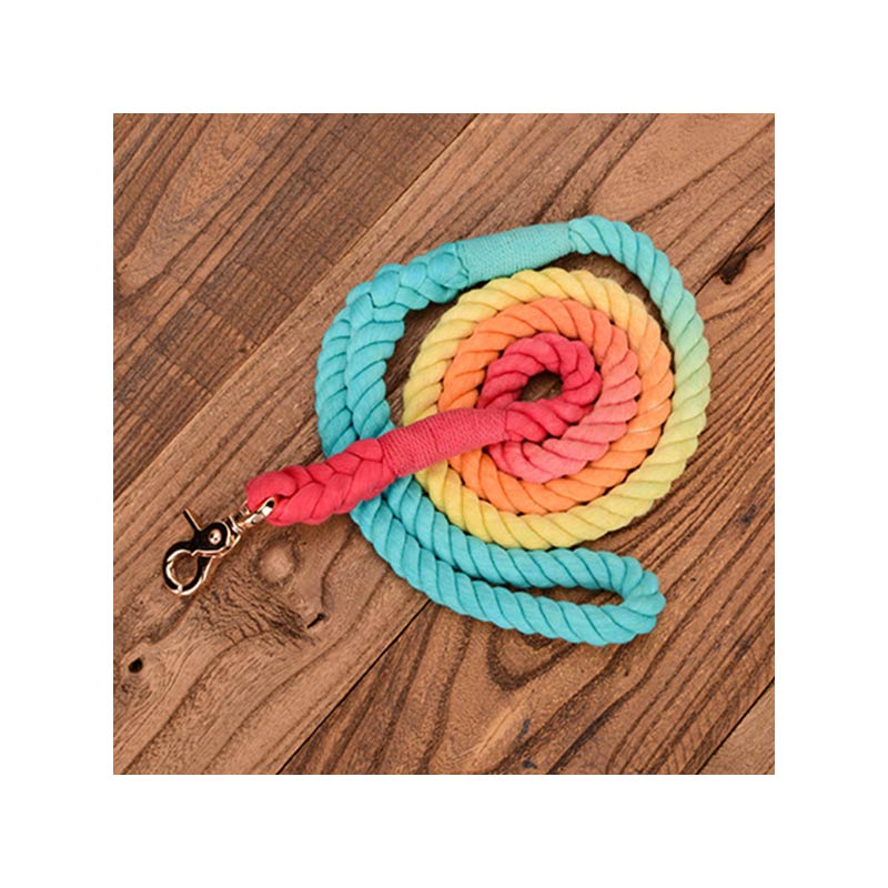 Braided Dog Leash