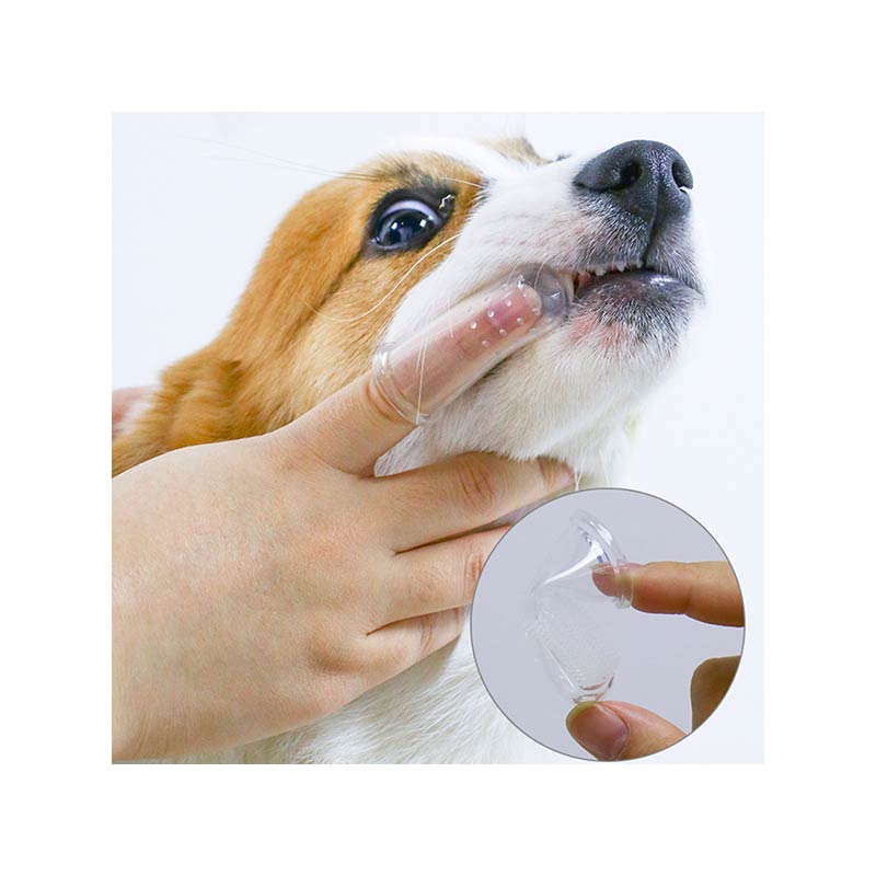  Pet Finger Toothbrush