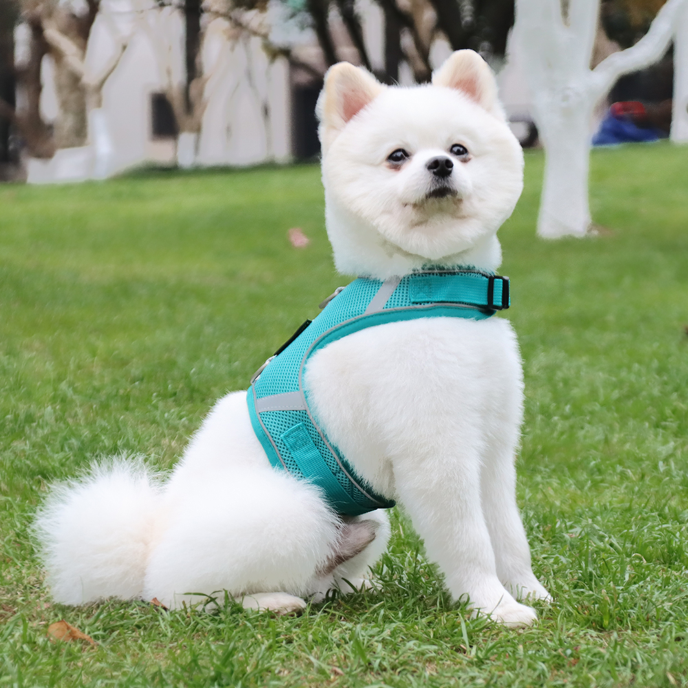 Breathable Mesh Pet Harness