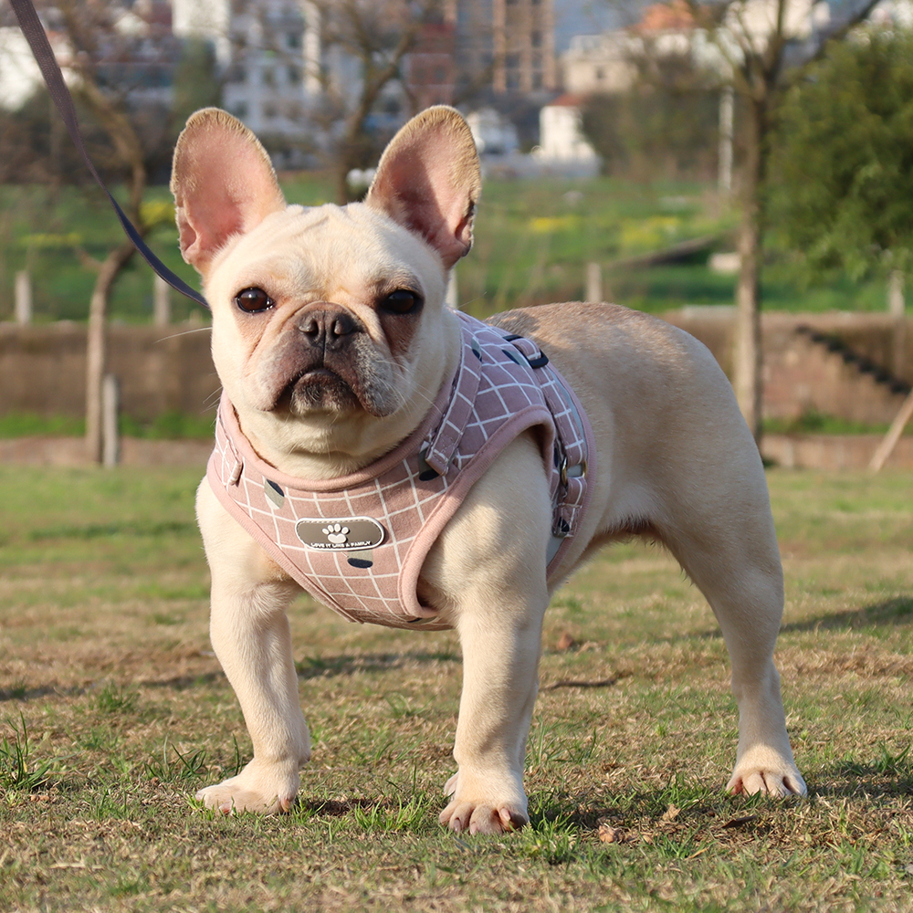 Plaid Pet Harness