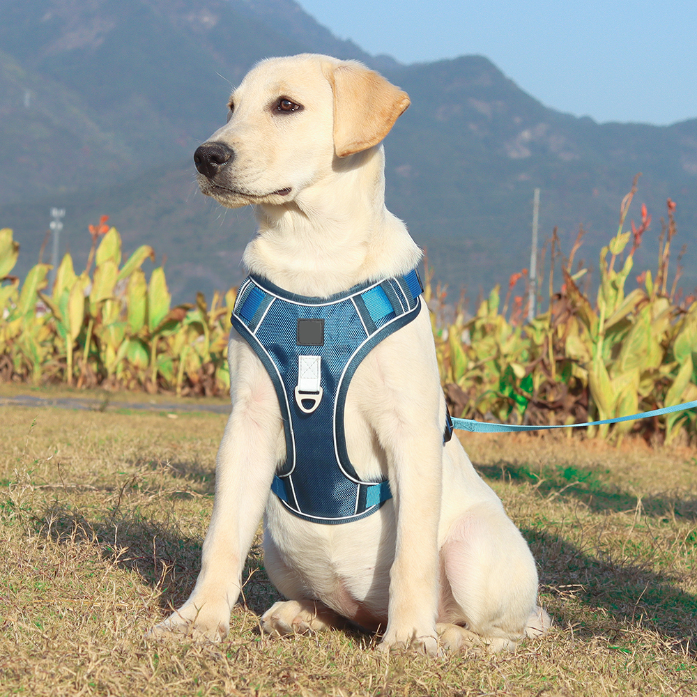 Oxford Fabric Pet Harness