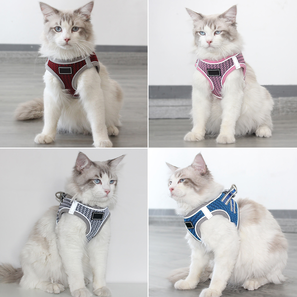 Breathable Mesh Pet Harness Leash Set