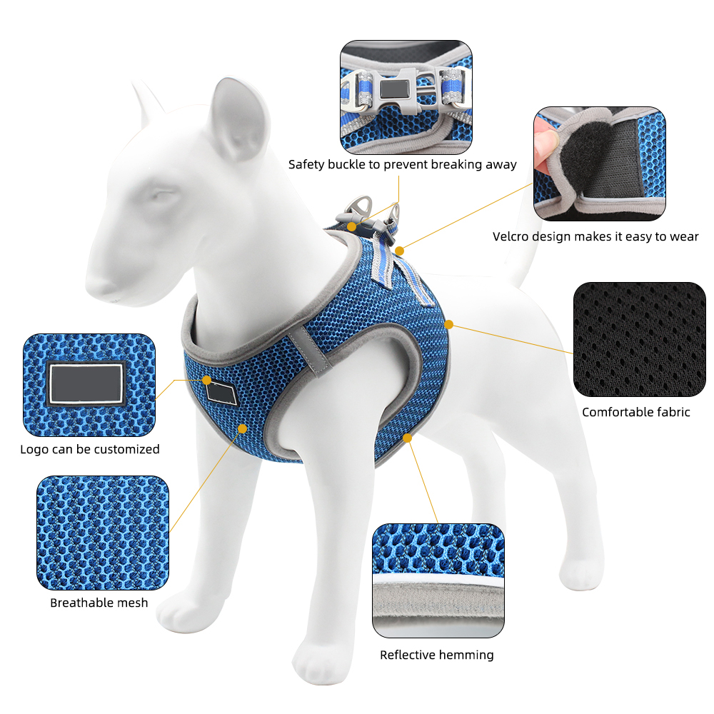 Breathable Mesh Pet Harness Leash Set