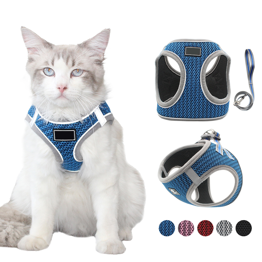 Breathable Mesh Pet Harness Leash Set