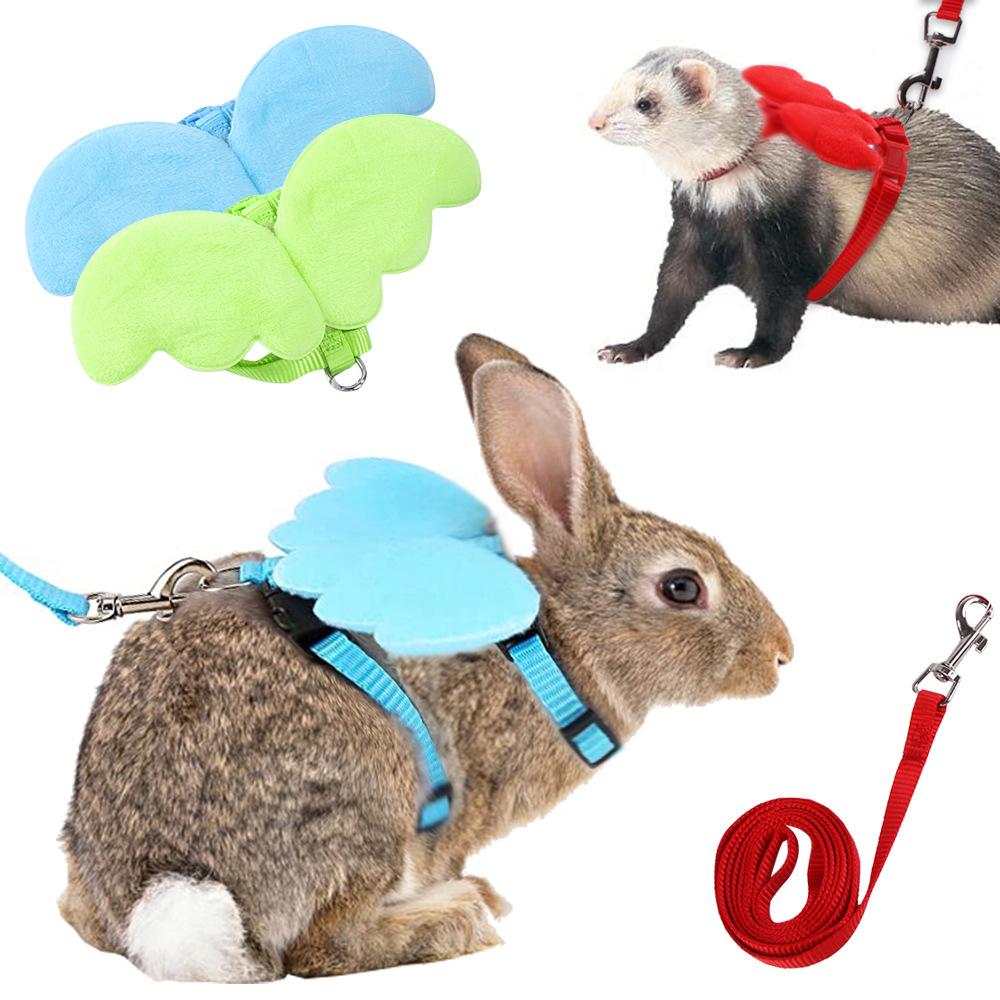 Angle Wings Small Animals Pet Cat Rabbit