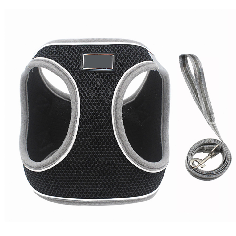 Breathable Mesh Pet Harness Leash Set