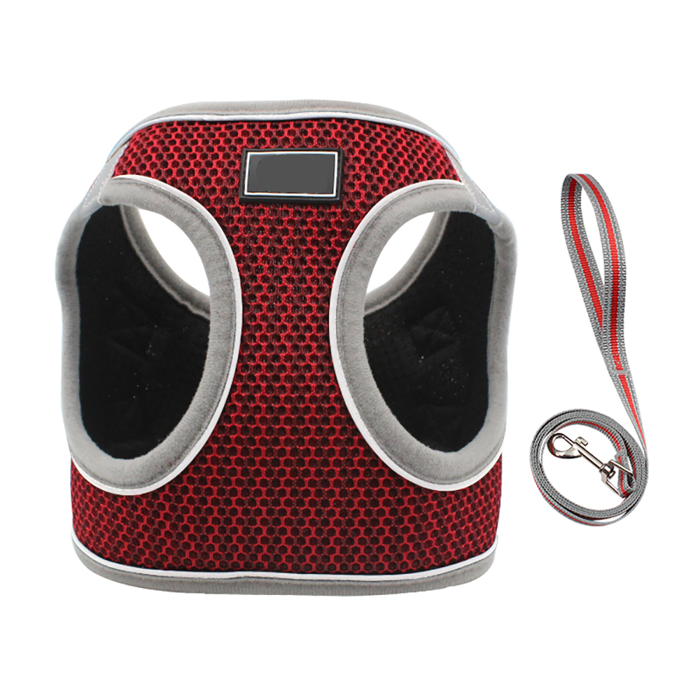 Breathable Mesh Pet Harness Leash Set