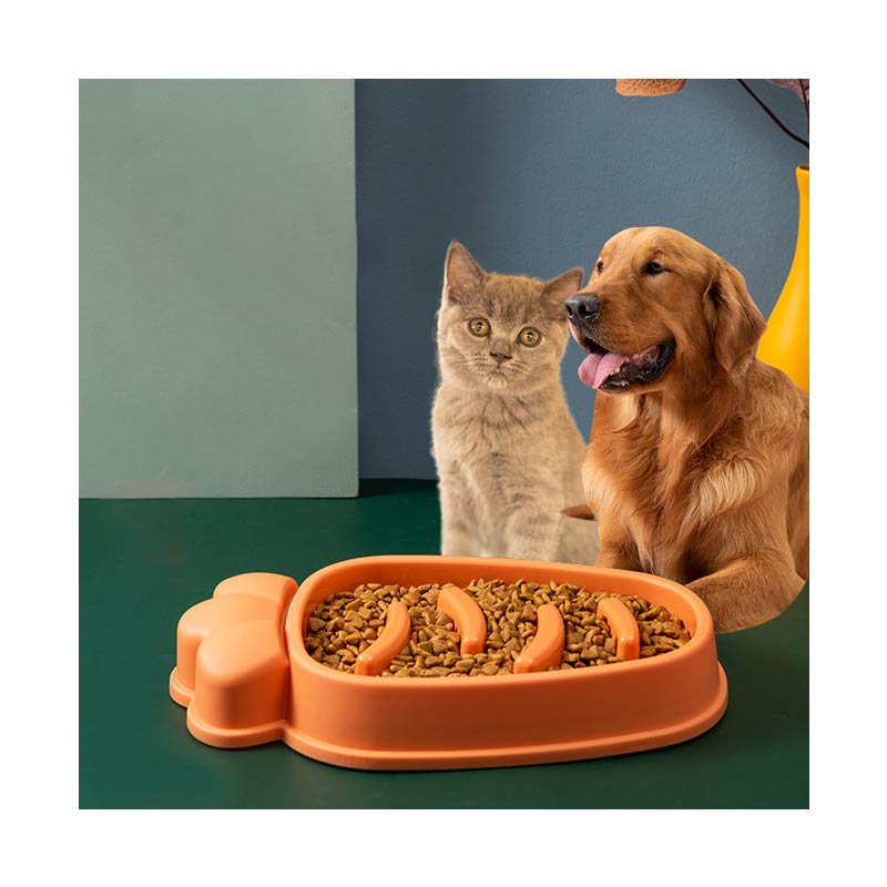 Carrot Pet Slow Feeder Bowl