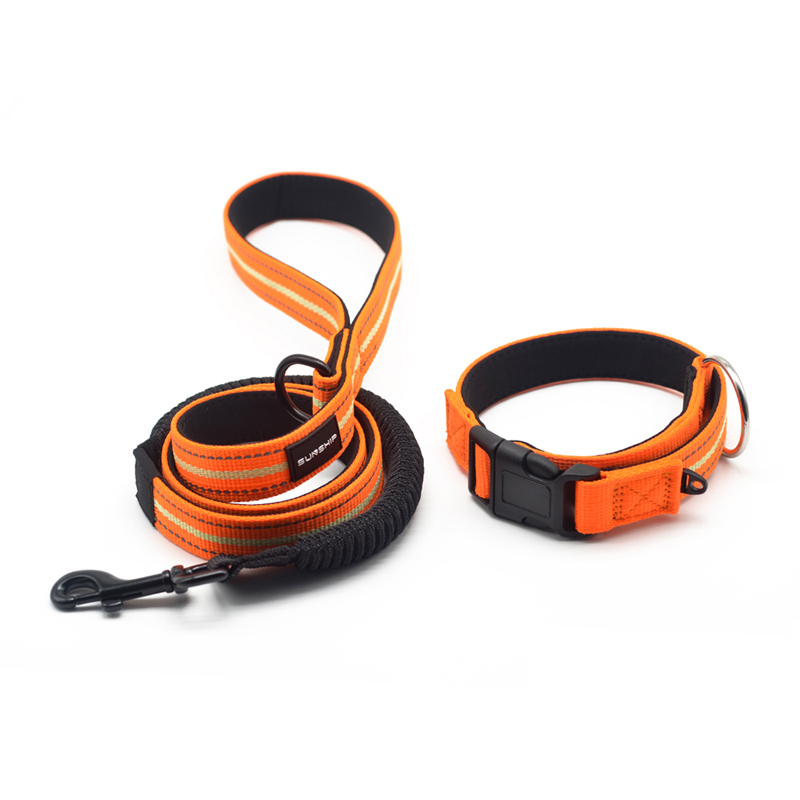 Luminous Reflective Pet Collar Leash Set