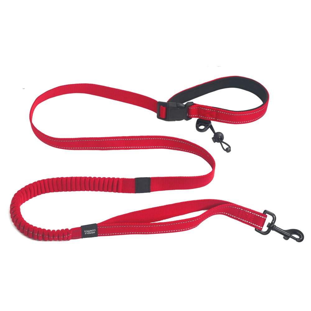 Reflective Double Handle Nylon Pet Leash