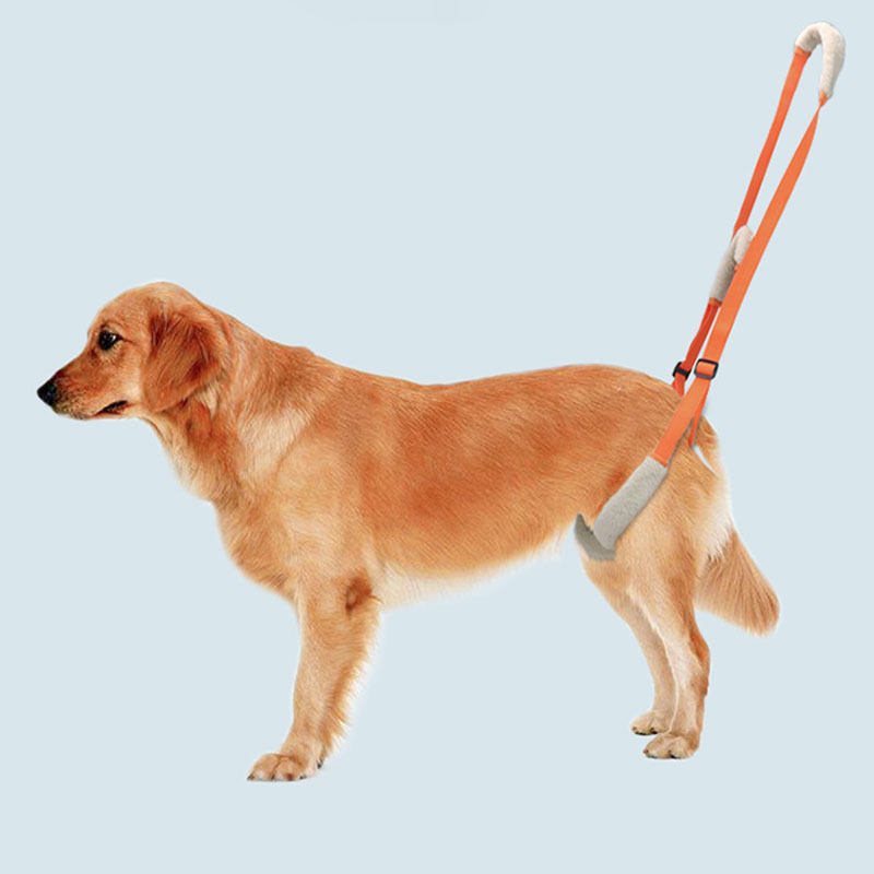 Double Handle Soft Padded Dog Legs Sling