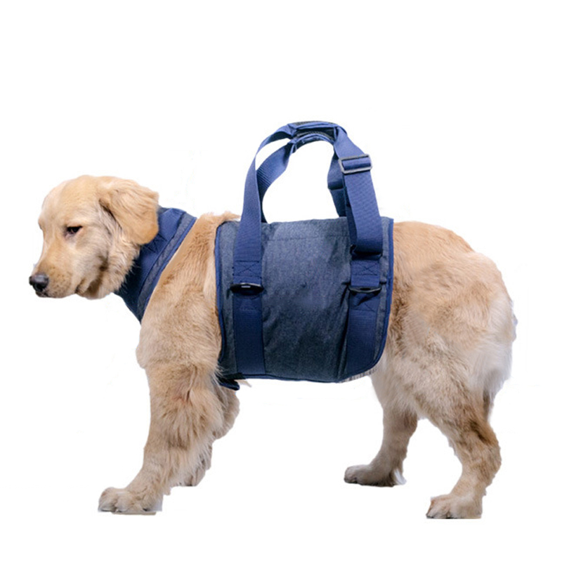 Dog Legs Lift Waist Support Harness with