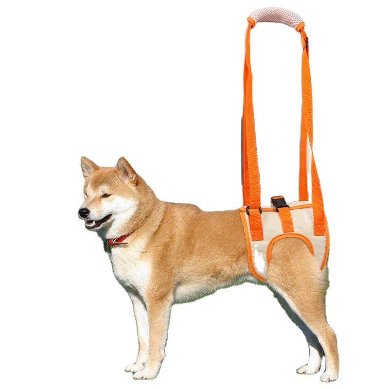 Old Disabled Dog Hind Legs Support Harness with Handle