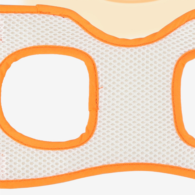 Old Disabled Dog Hind Legs Support Harness with Handle