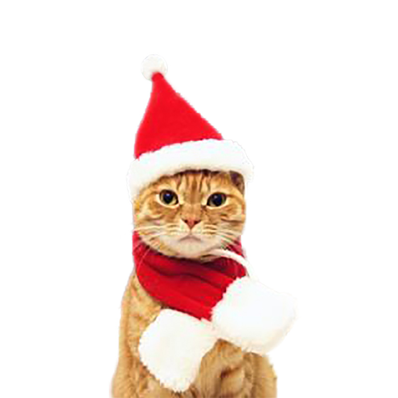 Pet Christmas Costumes