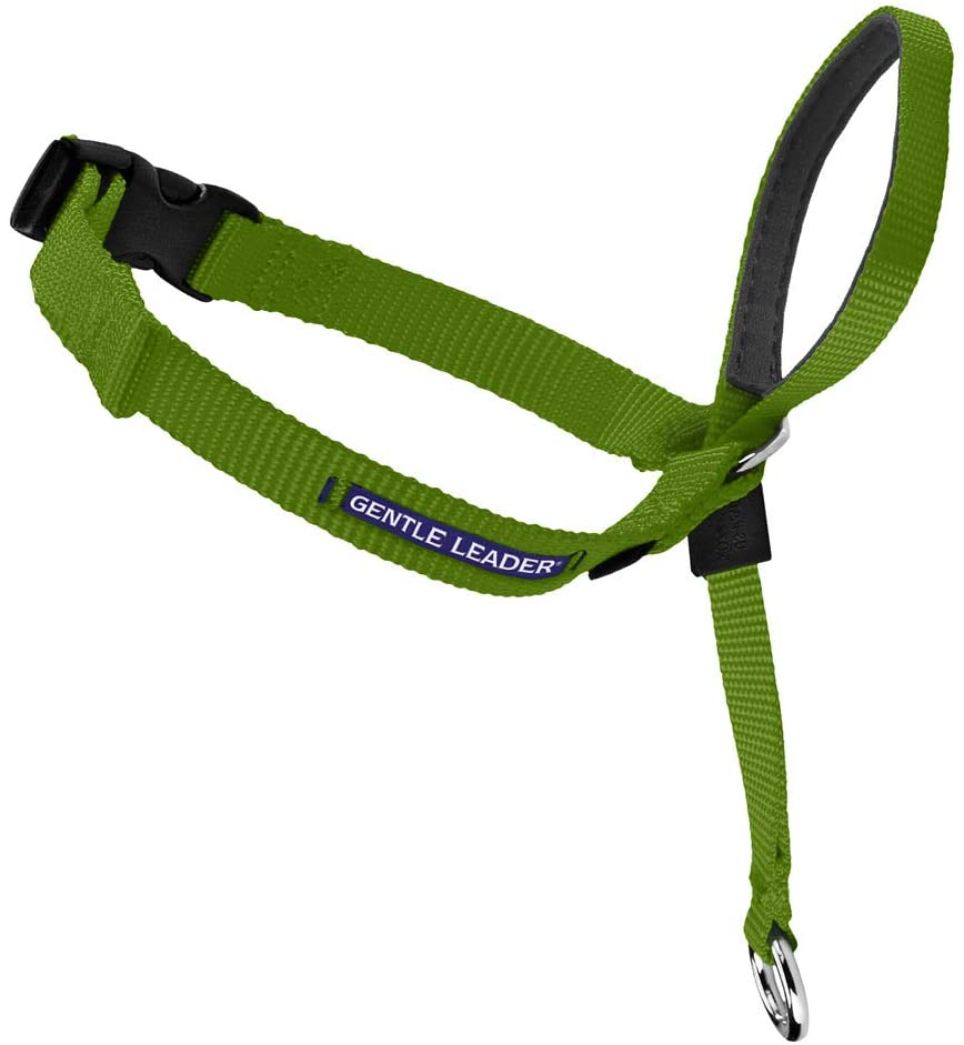 Dog Headcollar