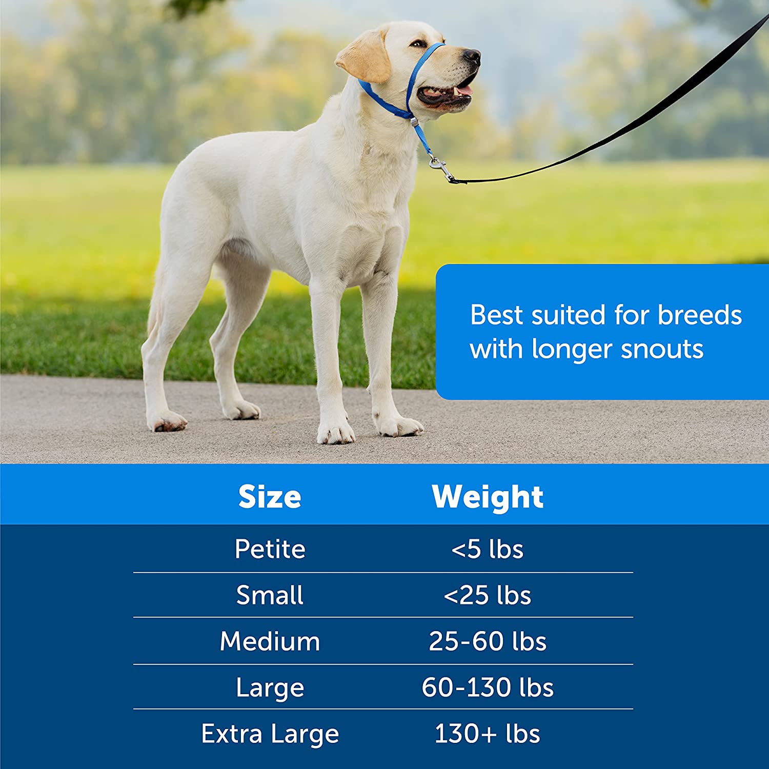 Dog Headcollar